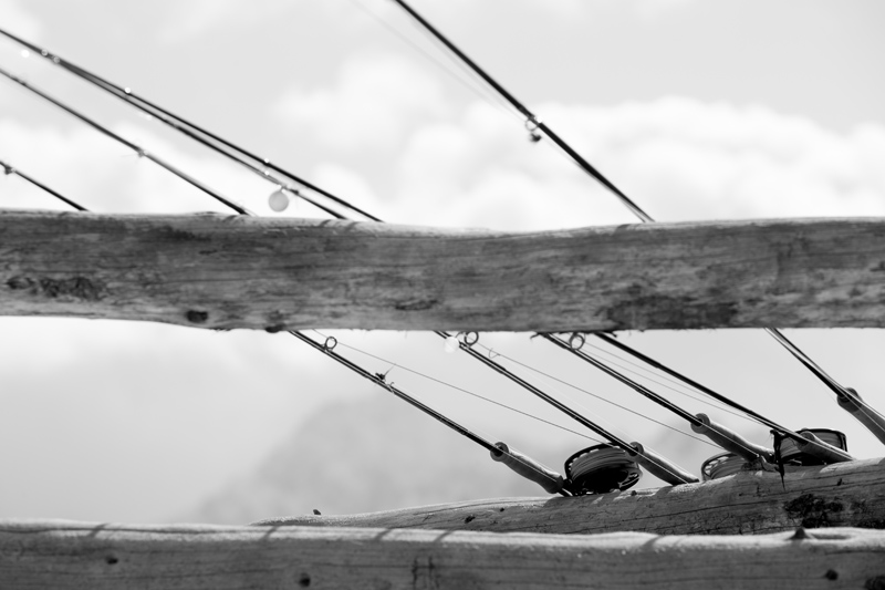 Steelhead rods on a fence