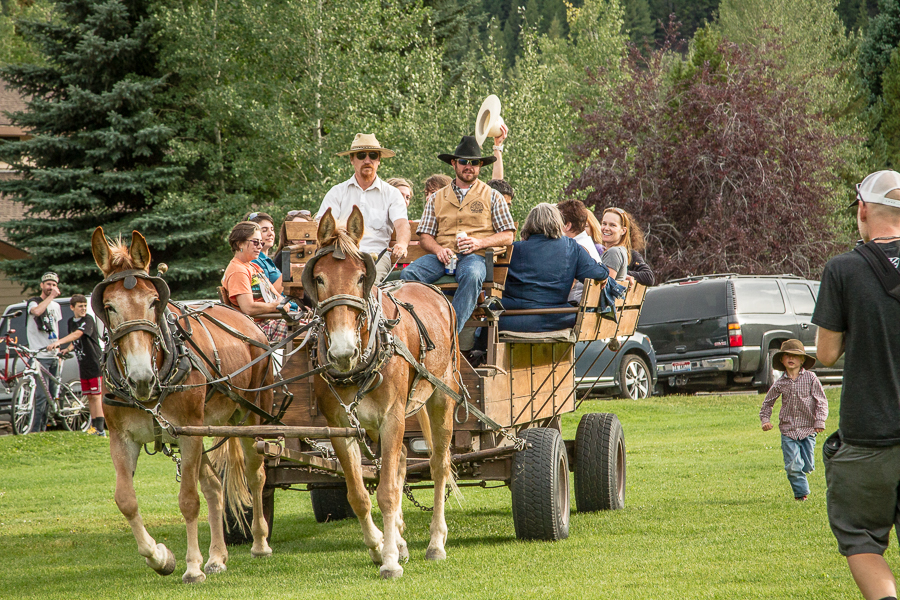 Why is there a picture of an ass in this post? Read on, it will make sense. Wagon Days parade entrant #22.