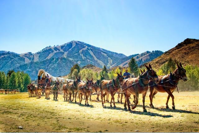 Wagon Days Sun Valley Idaho