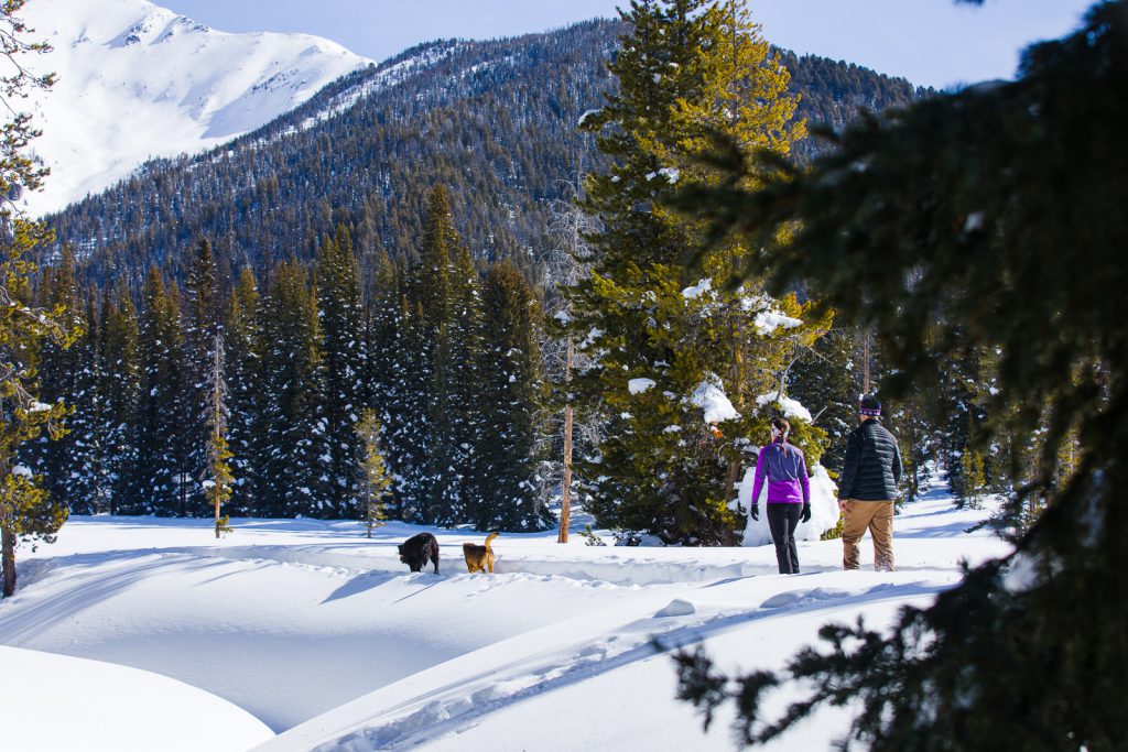 Wellness in Sun Valley - Snowshoeing // Forest Bathing