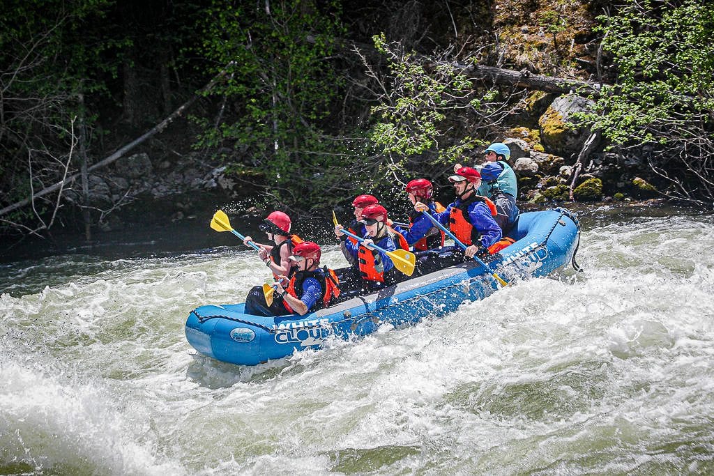 Taking a break from rafting to take a dip in the Salmon River.