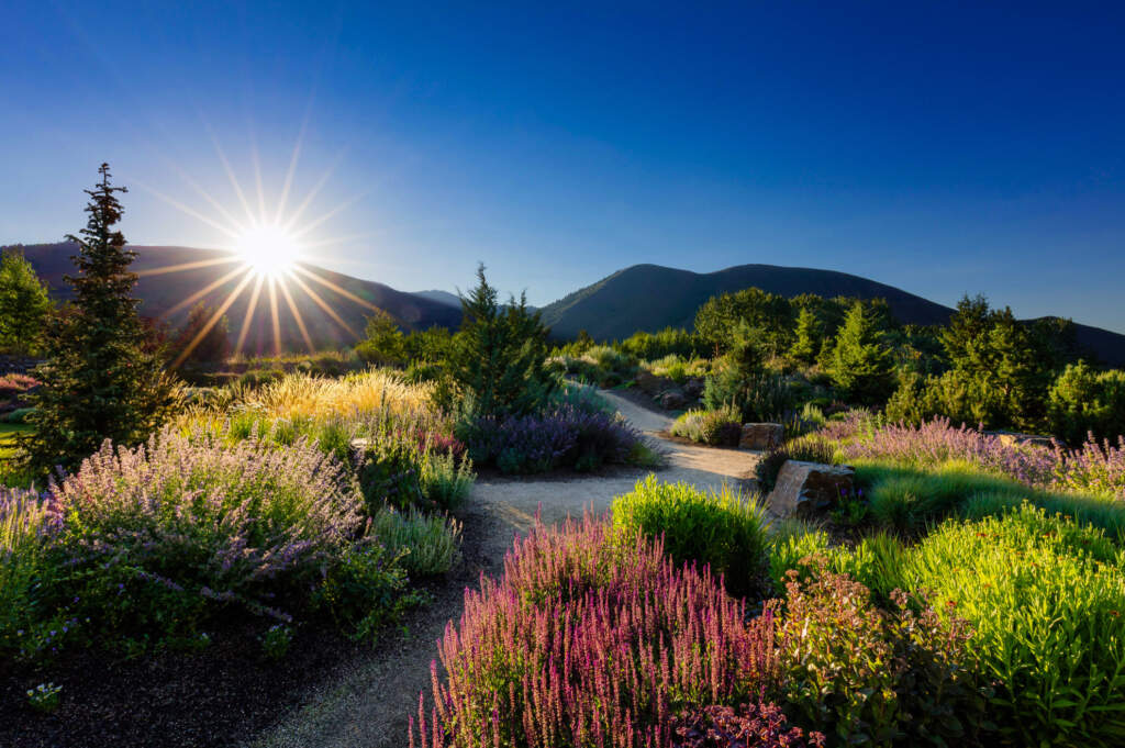 sun valley garden tour