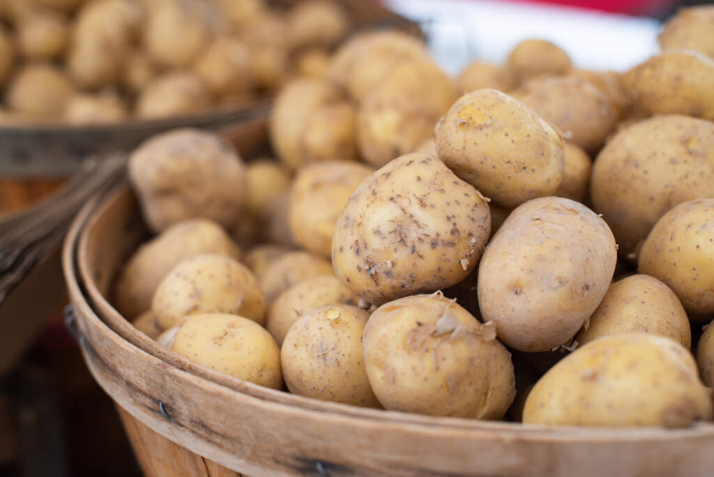 Wood River Farmers Market in Hailey, Idaho