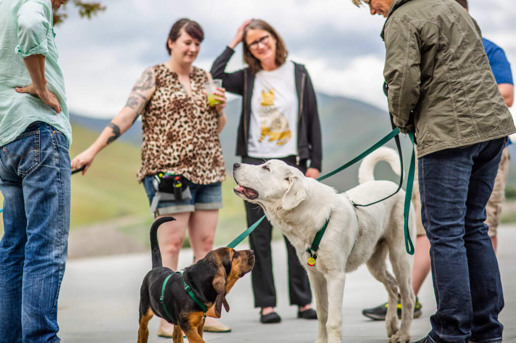 Mountain Humane - Sun Valley Animal Shelter