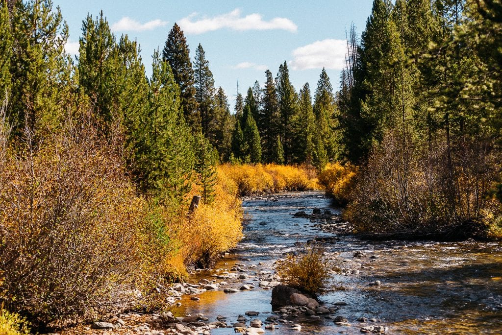 Guide to Leaf Peeping in Sun Valley, Idaho