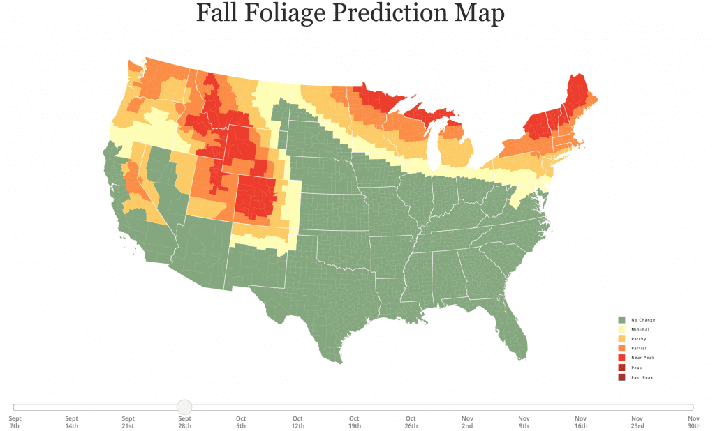 Leaf Prediction Chart