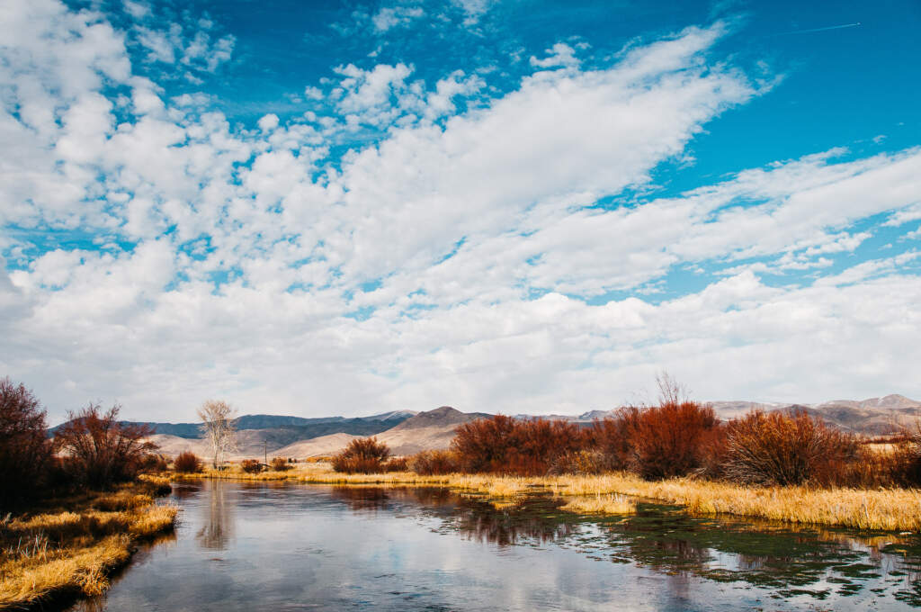 A Sun Valley, Idaho Guide to Leaf Peeping