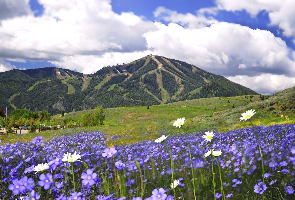 Mt. Baldy is part of the Smoky Mountain Range and the main ski area for Sun Valley