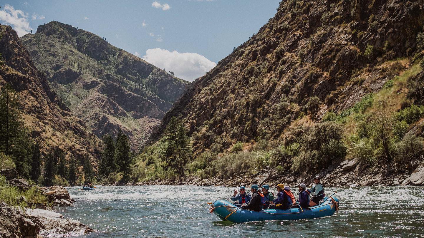 Middle Fork salmon