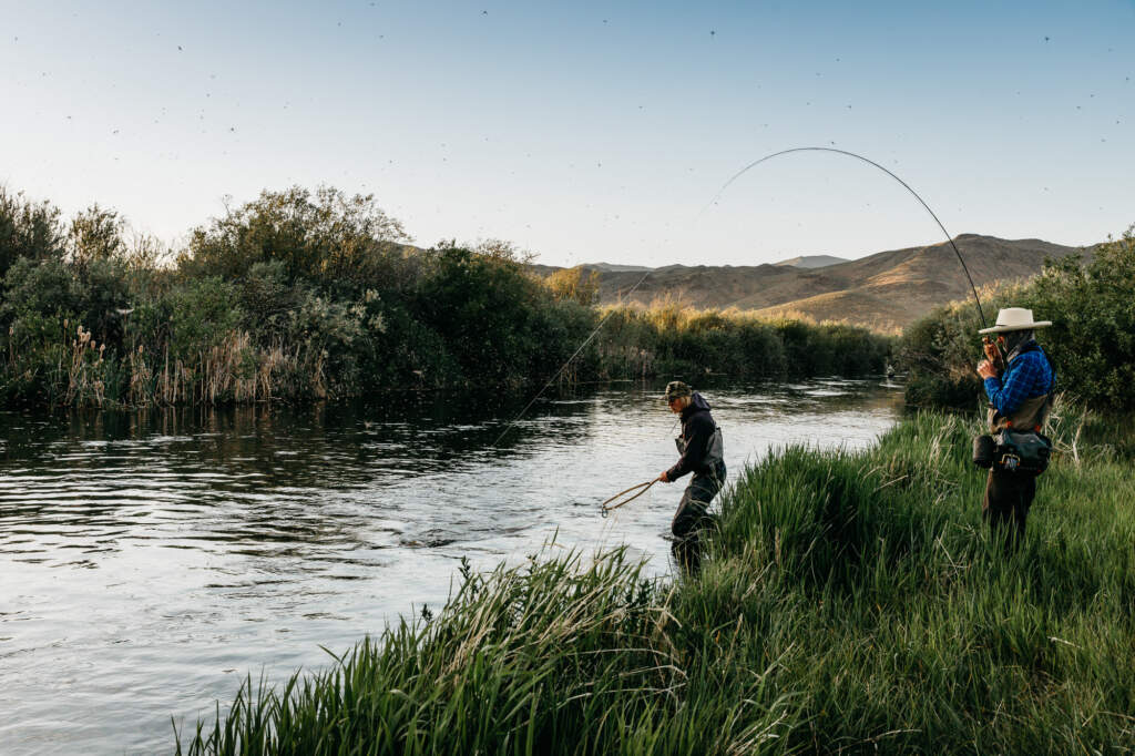 Guided Fly Fishing