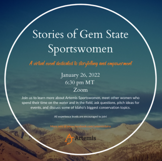Stories of Gem State Sportswomen @ Zoom